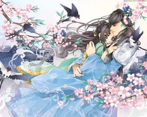 福建大菠萝导航